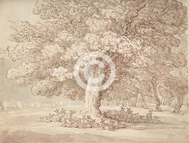 Herd of deer under an oak tree, 1775-1827. Creator: Thomas Rowlandson.