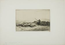Herd of Pigs, 1850. Creator: Charles Emile Jacque