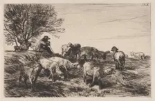 Herd of Sheep, 1864. Creator: Charles Emile Jacque