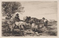 Herd of Sheep, 1864. Creator: Charles Emile Jacque