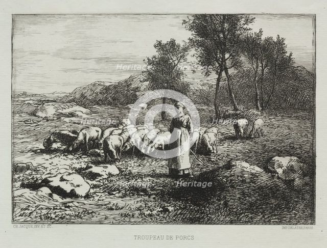 Herd of Swine, 1868. Creator: Charles-Émile Jacque (French, 1813-1894).
