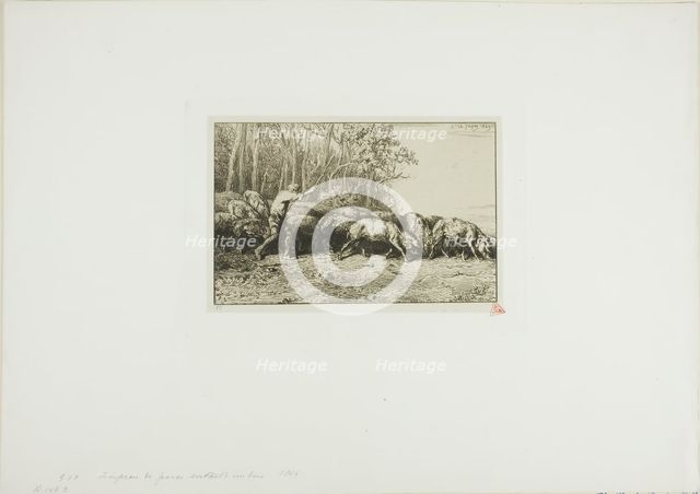 Herd of Swine Coming Out of a Wood, 1849. Creator: Charles Emile Jacque.