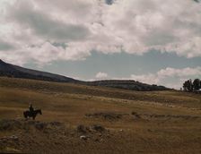 Herder with his flock of sheep on the Gravelly Range, Madison County, Montana, 1942. Creator: Russell Lee