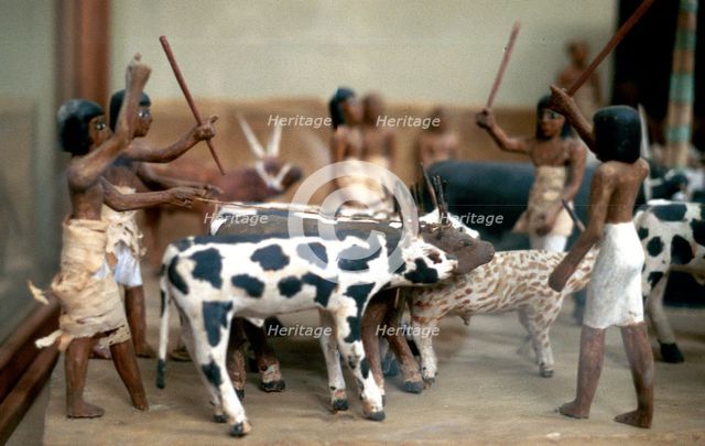 Herding cattle; Ancient Egyptian tomb model. Artist: Unknown