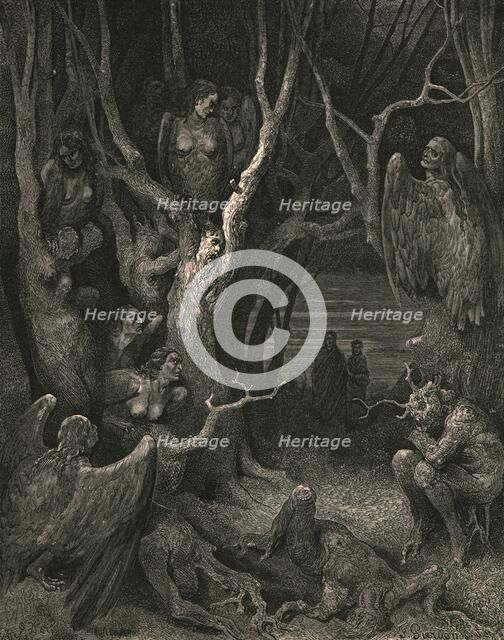 'Here the brute Harpies make their nest', c1890.  Creator: Gustave Doré.