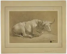 Herefordshire Fat Ox, n.d. Creator: James Ward