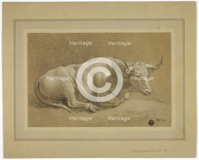 Herefordshire Fat Ox, n.d. Creator: James Ward.