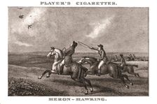 Heron-Hawking (1924). Creator: Unknown