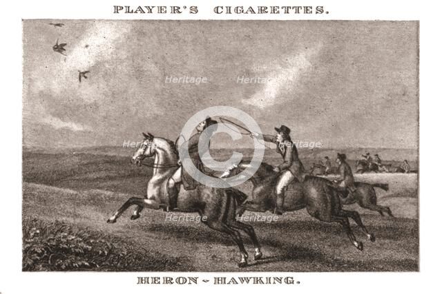 'Heron-Hawking', (1924). Creator: Unknown.