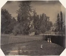 [Heron Pond, Zoological Gardens, Brussels], 1854-56. Creator: Louis-Pierre-Théophile Dubois de Nehaut