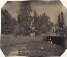 [Heron Pond, Zoological Gardens, Brussels], 1854-56. Creator: Louis-Pierre-Théophile Dubois de Nehaut