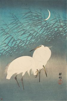 Herons and Reeds under a Crescent Moon, 1926. Creator: Ohara, Koson (1877-1945)