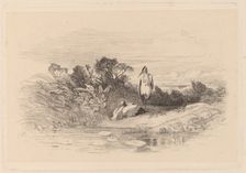 Herons. Creator: Karl Bodmer