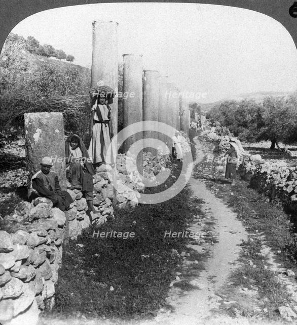Herod's street of columns, Samaria, Palestine (Israel), 1905.Artist: Underwood & Underwood