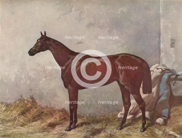 Hermit: winner of the Derby Stakes at Epsom, 1867, (1903). Artist: William Summers