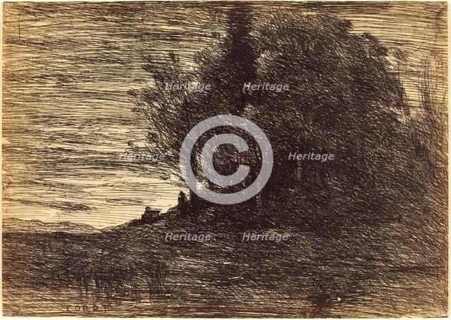 Hermit's Woods (Le Bois de l'ermite), 1858. Creator: Jean-Baptiste-Camille Corot.