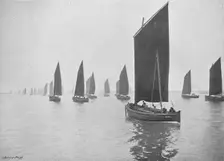 Herring Boats Off the Tyne c1896. Artist: M Aunty