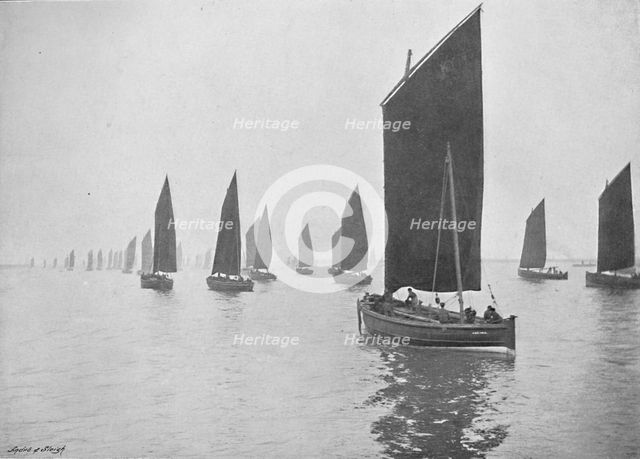 'Herring Boats Off the Tyne', c1896. Artist: M Aunty.