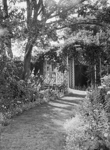 Herter, Albert, garden, between 1932 and 1942. Creator: Arnold Genthe