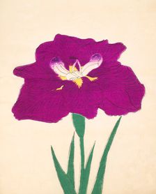 Hizume-No-Hyoshi, No. 29, 1890, (colour woodblock print)