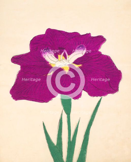 Hizume-No-Hyoshi, No. 29, 1890, (colour woodblock print)