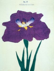 Hizume-No-Hyoshi, No 29
