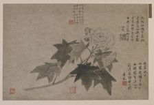 Hibiscus, 1347. Creator: Wang Yuan
