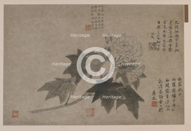 Hibiscus, 1347. Creator: Wang Yuan.