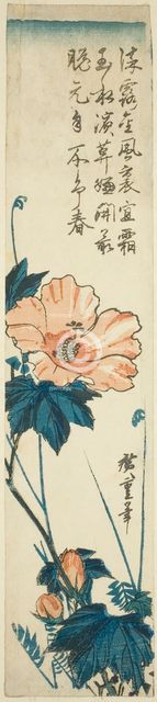 Hibiscus, 1830s. Creator: Ando Hiroshige.