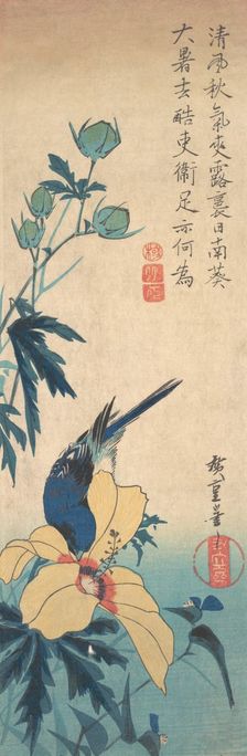 Hibiscus and Bluebird, ca. 1832., ca. 1832. Creator: Ando Hiroshige