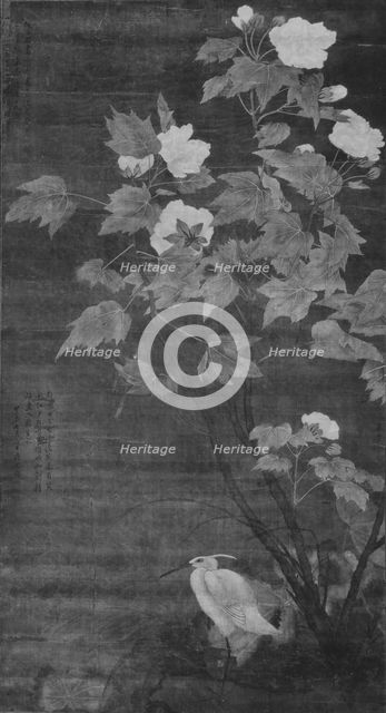 Hibiscus and Egret, dated 1724. Creator: Jiang Tingxi.