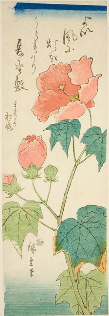 Hibiscus, c. 1843/47. Creator: Ando Hiroshige