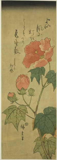 Hibiscus, c. 1843/47. Creator: Ando Hiroshige