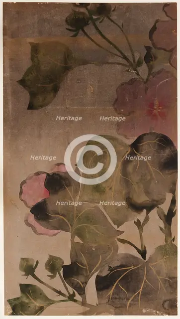 Hibiscus flowers and leaves, Edo period, 1615-1868. Creator: Unknown.