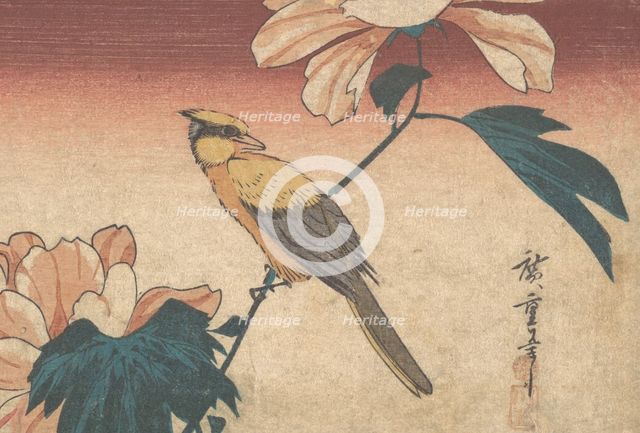 Hibiscus Mutabilis and Jay, ca. 1840., ca. 1840. Creator: Ando Hiroshige.