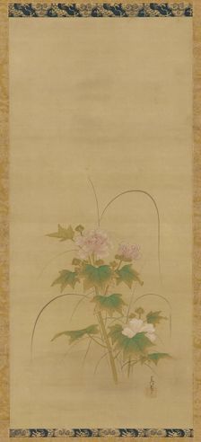Hibiscus (part of a set), Edo period, mid 17th-early 18th century. Creator: Kanô Yôboku Tsunenobu