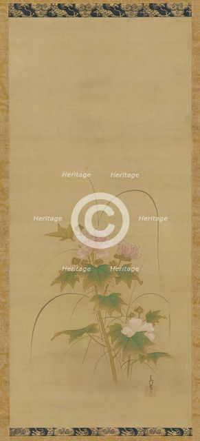 Hibiscus (part of a set), Edo period, mid 17th-early 18th century. Creator: Kanô Yôboku Tsunenobu.