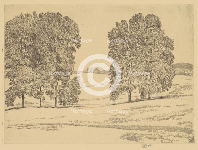Hickories in a Hayfield, 1917. Creator: Frederick Childe Hassam.