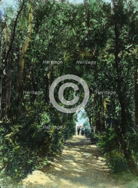 "Hickory Hill," Colonel Henry Taylor Wickham house, Ashland, Virginia, 1927. Creator: Frances Benjamin Johnston.