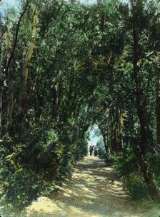 "Hickory Hill," Colonel Henry Taylor Wickham house, Ashland, Virginia, 1927. Creator: Frances Benjamin Johnston