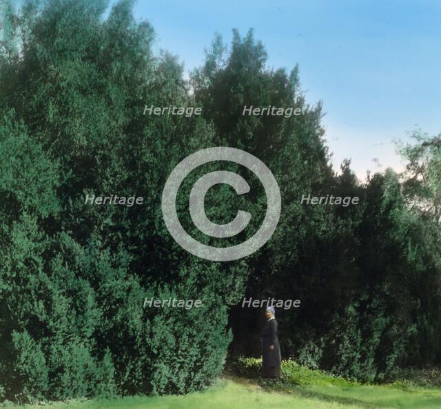 "Hickory Hill," Colonel Henry Taylor Wickham house, Ashland, Virginia, 1927. Creator: Frances Benjamin Johnston.