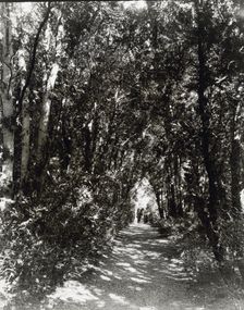 "Hickory Hill," house of Henry Taylor Wickham, Ashland, Hanover County, Virginia, 1927. Creator: Frances Benjamin Johnston