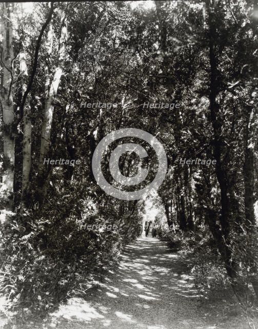 "Hickory Hill," house of Henry Taylor Wickham, Ashland, Hanover County, Virginia, 1927. Creator: Frances Benjamin Johnston.