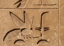 Hieroglyphic writing relief: Upper Egypt, (rush) and Lower Egypt (bee), Saqqara, Egypt, 2015. Creator: Unknown