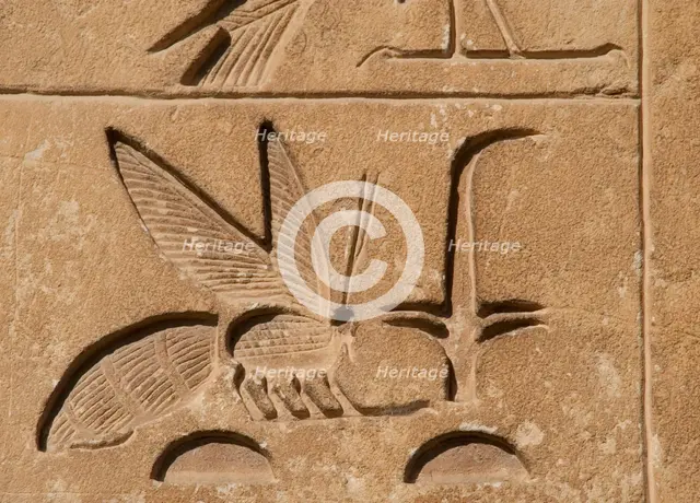 Hieroglyphic writing relief: Upper Egypt, (rush) and Lower Egypt (bee), Saqqara, Egypt, 2015.  Creator: Unknown.