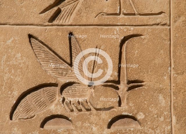 Hieroglyphic writing relief: Upper Egypt, (rush) and Lower Egypt (bee), Saqqara, Egypt, 2015.  Creator: Unknown.