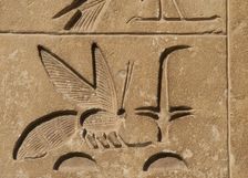 Hieroglyphic writing relief: Upper Egypt, (rush) and Lower Egypt (bee), Saqqara, Egypt, 2015. Creator: Unknown