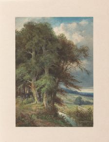 High trees along which a stream runs, 1838-1879. Creator: Augustin Taurel