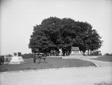 High water mark, Gettysburg, Pa., between 1900 and 1910. Creator: Unknown