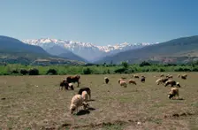 High Atlas, Morocco. Creator: Vivienne Sharp